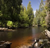 Styx River in Styx Valley